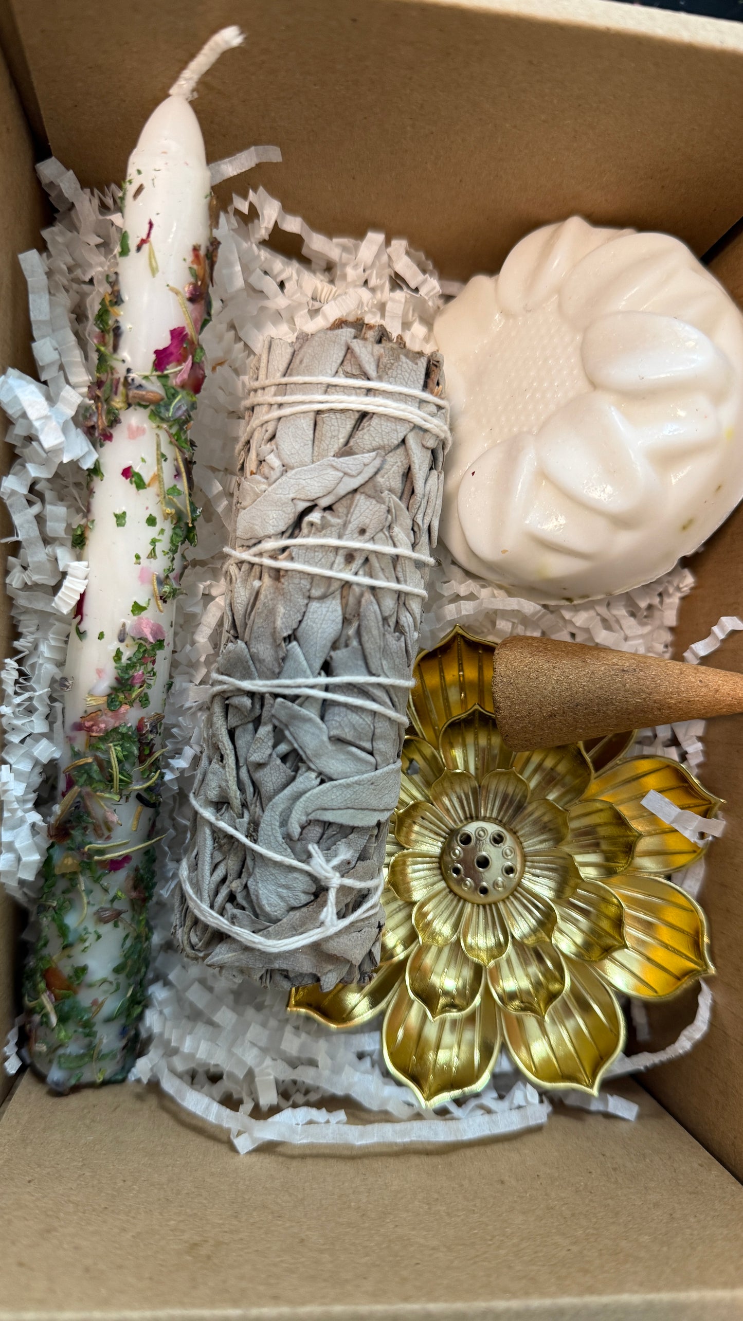 Caja de Bruja 🧙🏻‍♀️